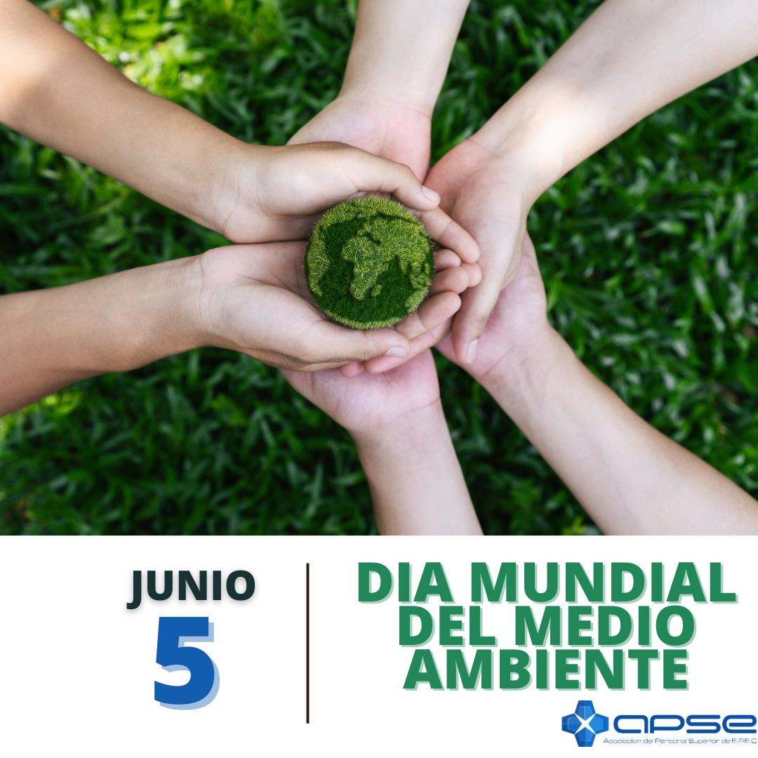 Institucional