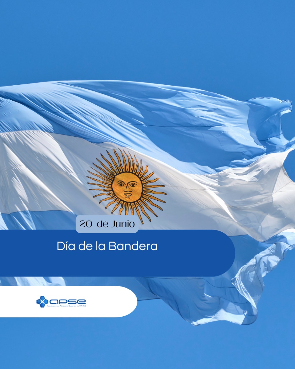 Institucional