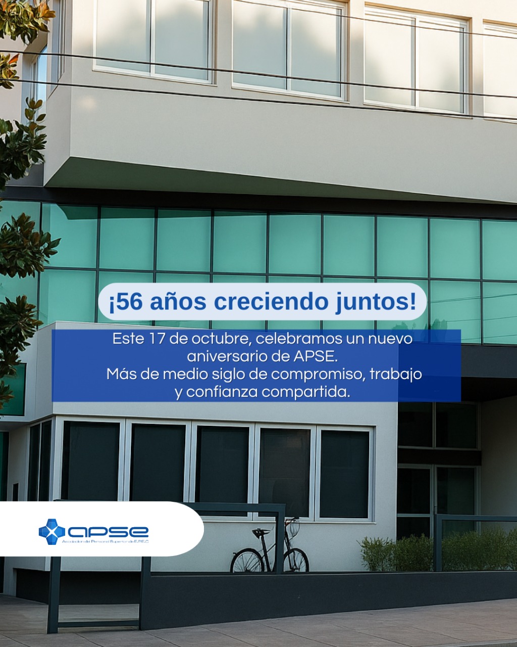 Institucional